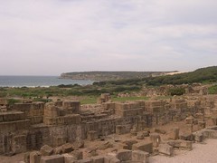 En Baelo-Claudia por conilsinfronteras